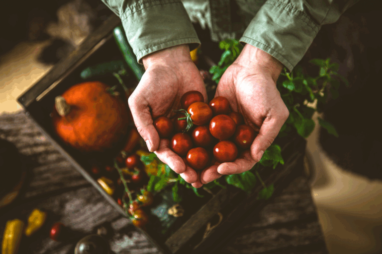food organic (3)